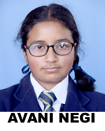 AVNI NEGI
