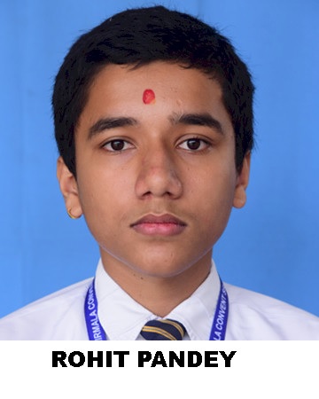 ROHIT PANDEY