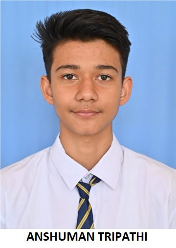 ANSHUMAN TRIPATHI 